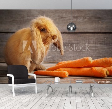 Picture of Funny rabbit with carrot on wooden background